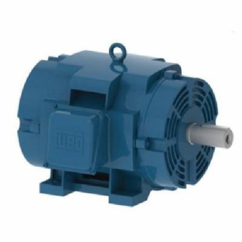 General Purpose Motor, ODP Cast Iron 284/6TS Frame, 30 HP, 2955 RPM, 415 V