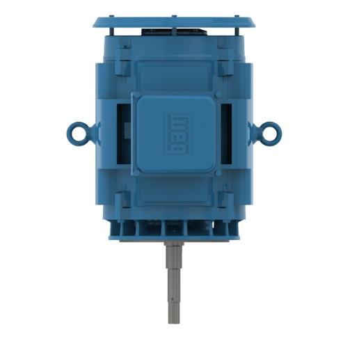 WEG 10036OT3V365JPV-W40