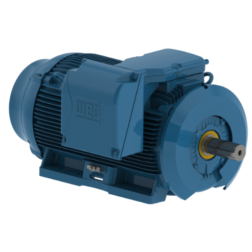 WEG 40009ET3G588/9-W22 Electric Motor, 400Hp, 60Hz, 895 Rpm | BB7CVA