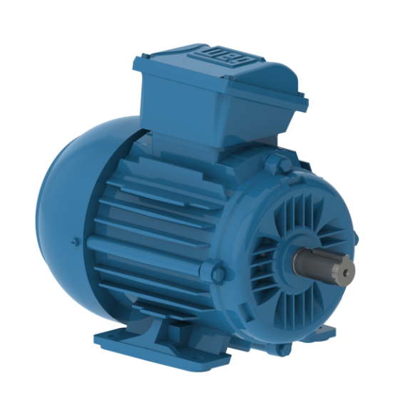 WEG E0.7536EP3WAX80F3-W2 Electric Motor, 3/4Hp, 50Hz, 3000 Rpm | BB9FGE