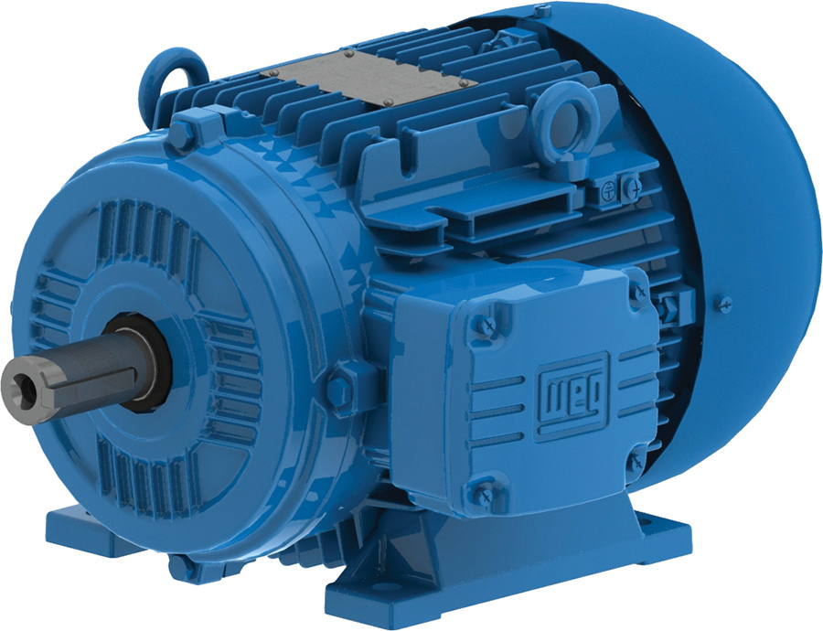 WEG E01818EP3Y180MF3-W22 Electric Motor | BB4CMQ