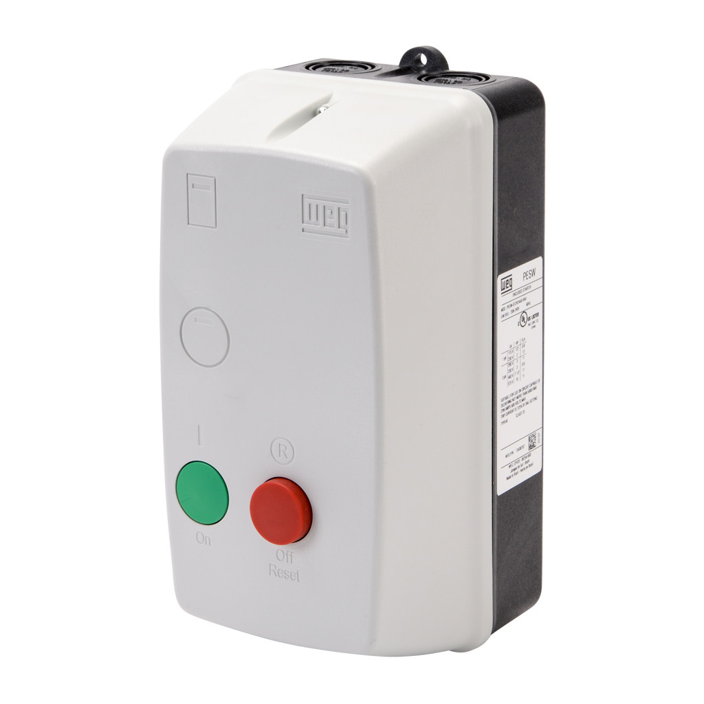 WEG PESW-B12V24AX-R64 2