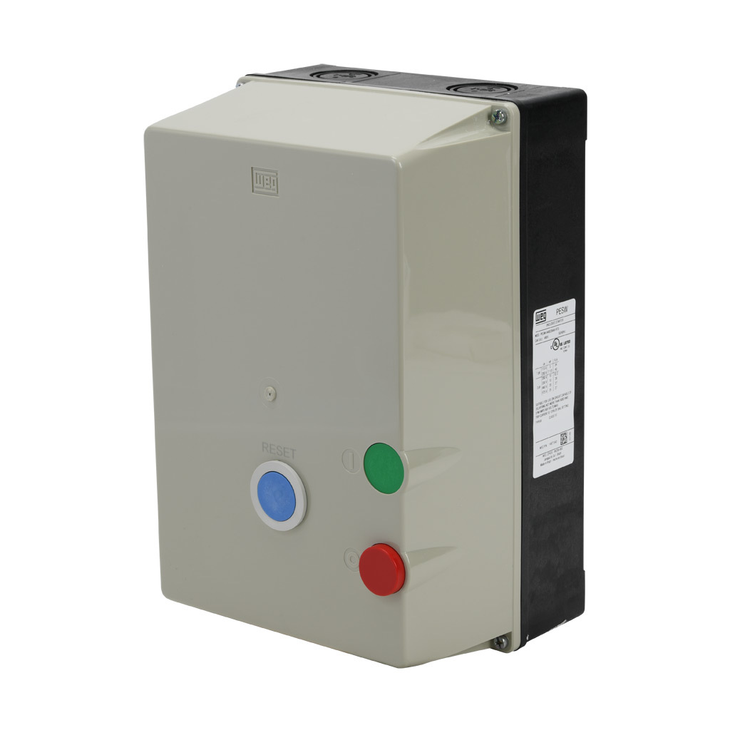 WEG PESW-B40D39AX-R70 3