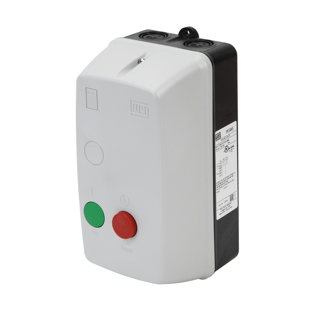 WEG PESWS-B12V24AX-RM64 2