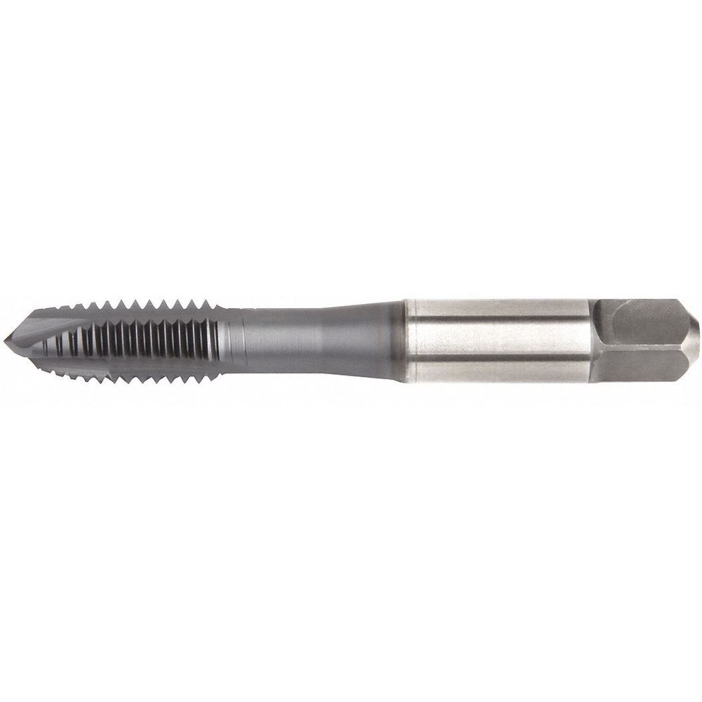 WIDIA VTSPO5511 -REPLACE EDP#72619B M5-0.80 Tap, Plug, 2 Flutes, High Speed Steel, Bright Tap Finish | CD2LUF 53MX43