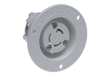 WOODHEAD 1301490021 Flanged Receptacle With Locking Blade, 2 Pole/3 Wire, 125V | CH2FGG 2547MB