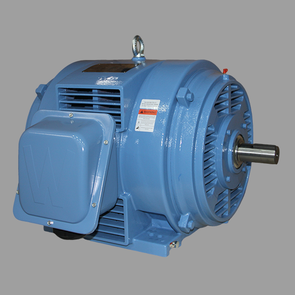 WORLDWIDE ELECTRIC General Purpose AC Motors