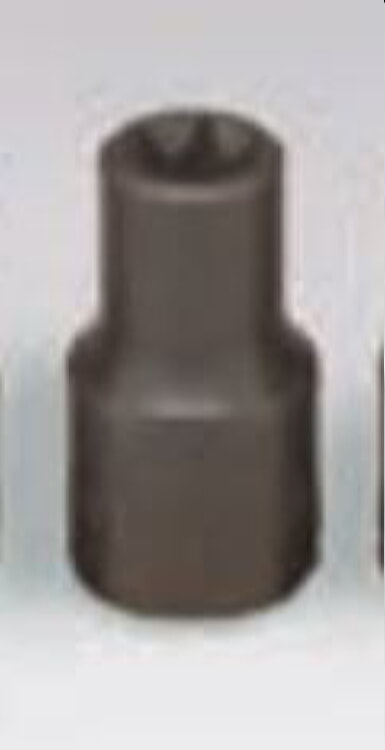 WRIGHT TOOL 9256 Torx Socket, 3/8 Inch Drive, E-12 Head Size | AX3GLL