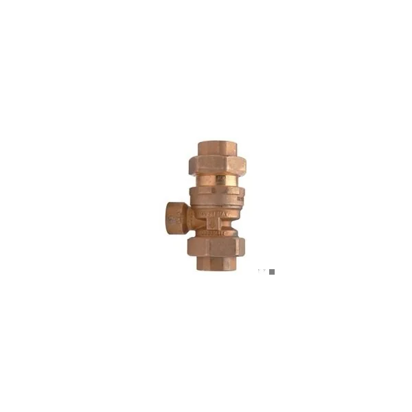 ZURN 12-760C Dual Check Valve Backflow Preventer With Intermediate Atmospheric Vent, 1/2 Inch Size | CV8MUM
