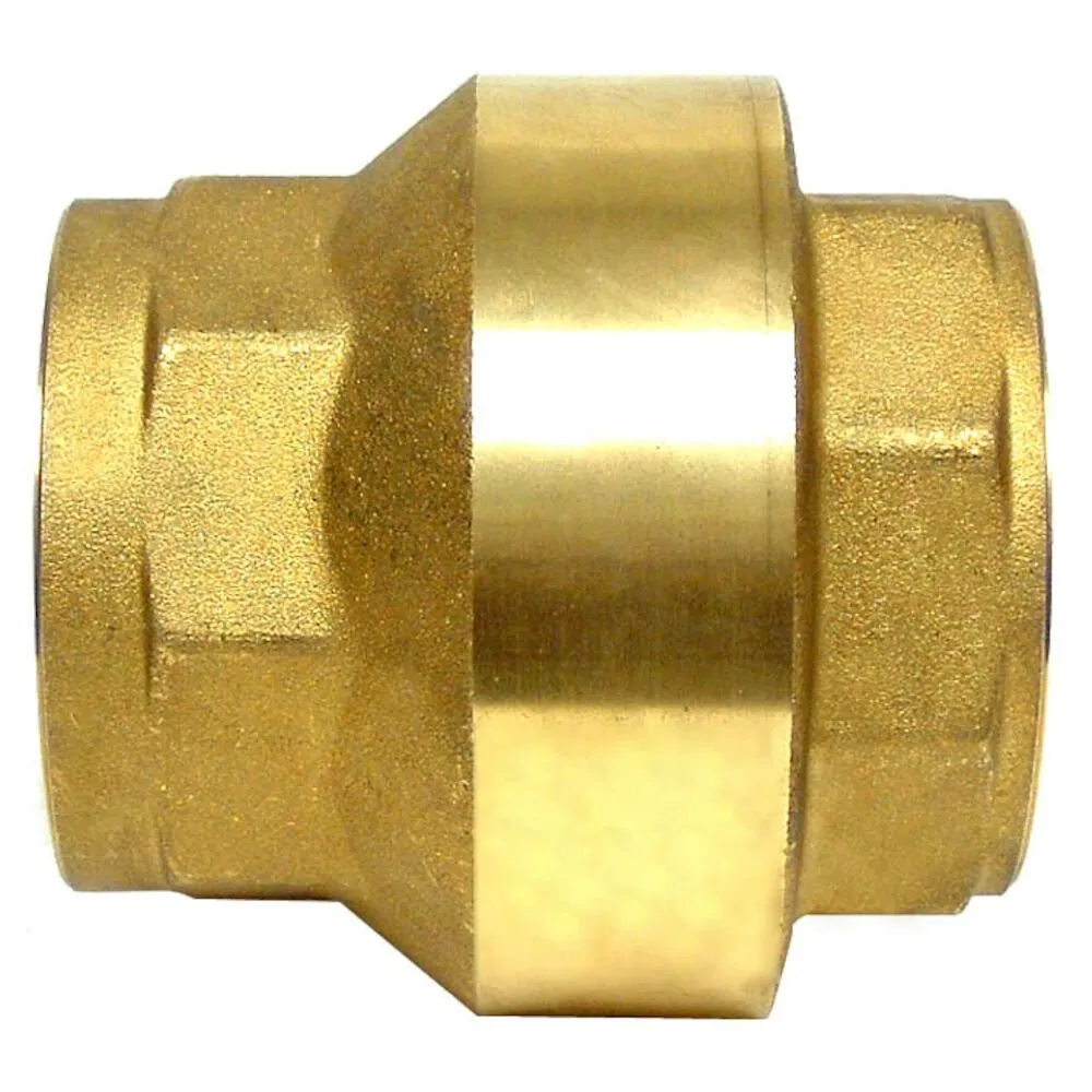 In-Line Single Check Valve, 2-40XL2