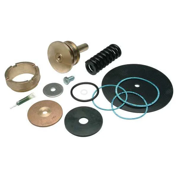 WILKINS RK2-500XL Repair Kit Reduce Valve 2 In | AD6KQD 45K839