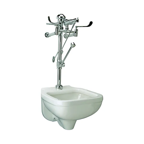 Manual Wall Mounted Service Sink System with 6.5 GPF Flush Valve with Bedpan Washer