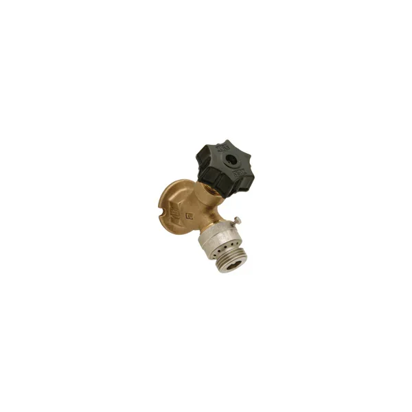 ZURN Z1341XL-P12 Wall Faucet | CV8NTN