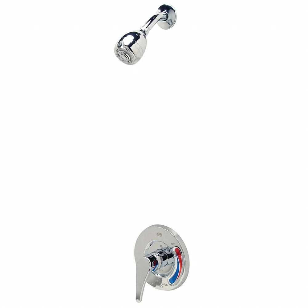 ZURN Z7301-SS-MT Metal Wall Mounted Shower Head Kit, 2.5 Gpm, 1/2 Inch FNPT Connection Type | CE9VWL 22LU12